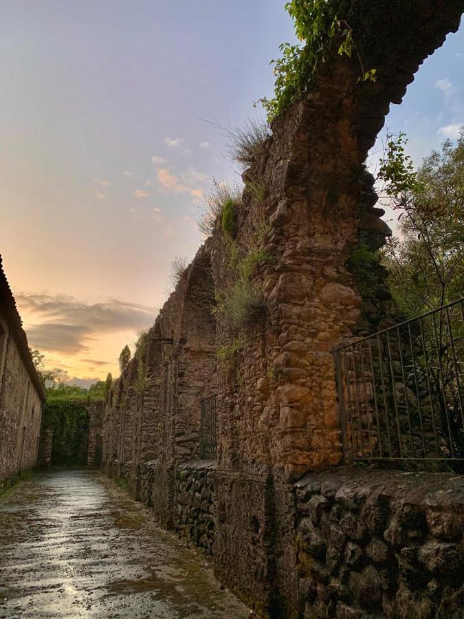 Le Vie Mediterranee Torre di Ruggiero Bagian luar foto